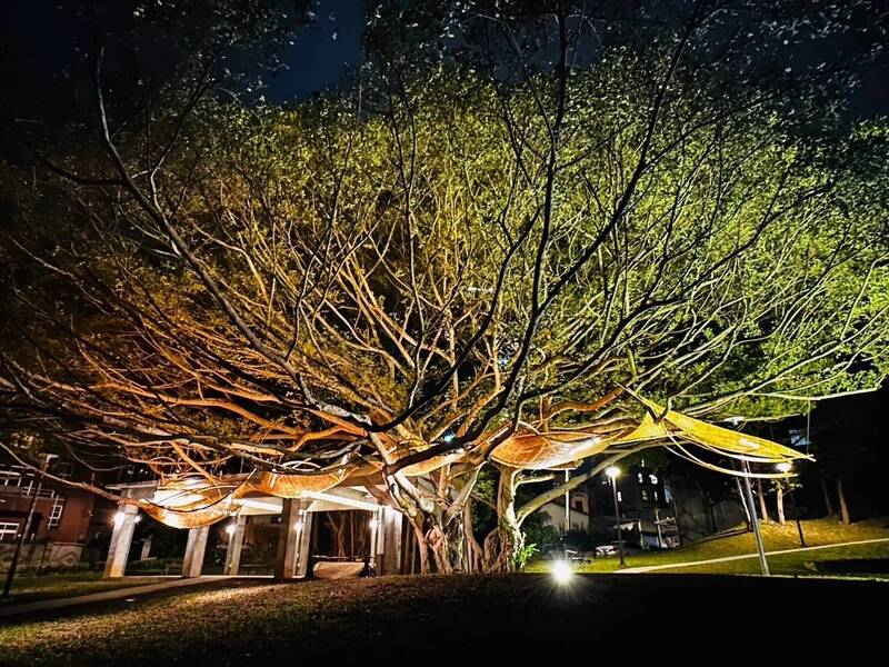 燈源燈會園區的樹也邀請專業劇場燈光師傅來打光，營造整體氛圍。   圖：桃園市觀光旅遊局／提供