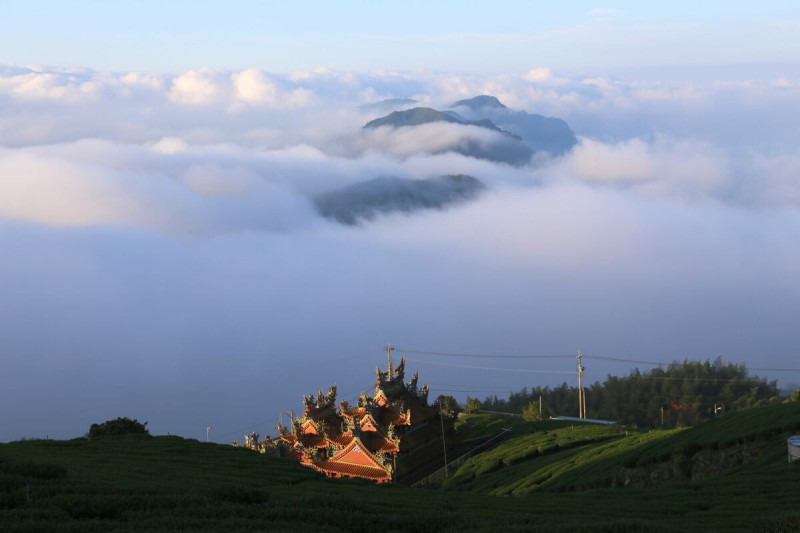 嘉義石棹地區是高山茶的重要產地，有豐富的高山景觀資源，氣象萬千的雲海。   圖：嘉義縣政府／提供