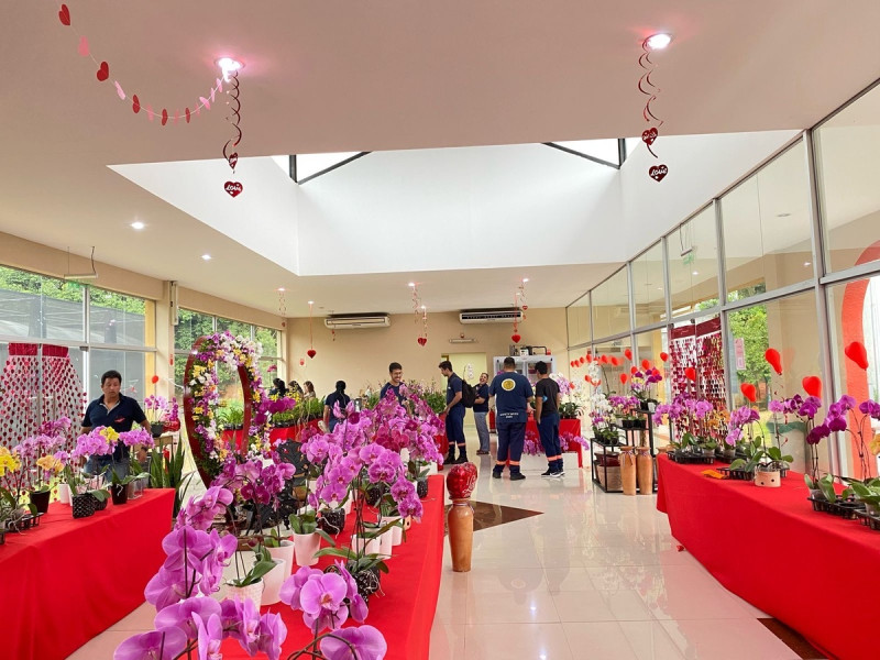 蘭花展售中心現場吸引大批民眾選購台灣蘭花。   圖：國合會/提供