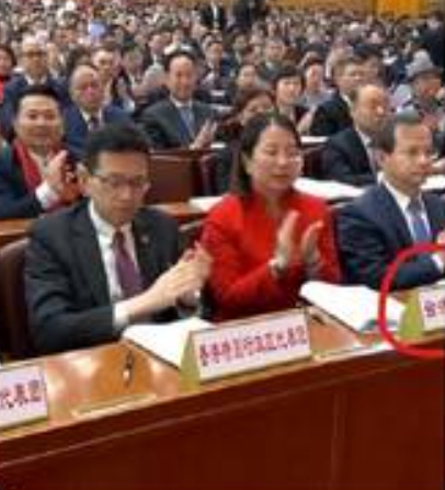  中國兩會中出現的「台灣省代表團」。 圖 : 翻攝自X 