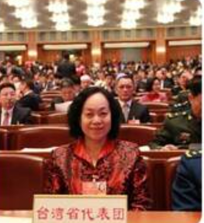中國兩會中出現的「台灣省代表團」，被質疑是否真能代表台灣。   圖 : 翻攝自X