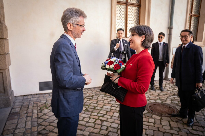 準副總統蕭美琴出訪捷克並會晤捷克參議院議長韋德齊。   圖：韋德齊 X
