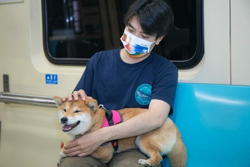 北捷今年在淡水信義線再度推出2部「寵物友善列車」。   圖：翻攝自台北大眾捷運股份有限公司官網