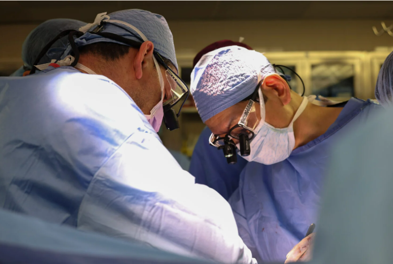 麻省總醫院外科醫生們正在進行移植手術。   圖片：翻攝自Massachusetts General Hospital 網站
