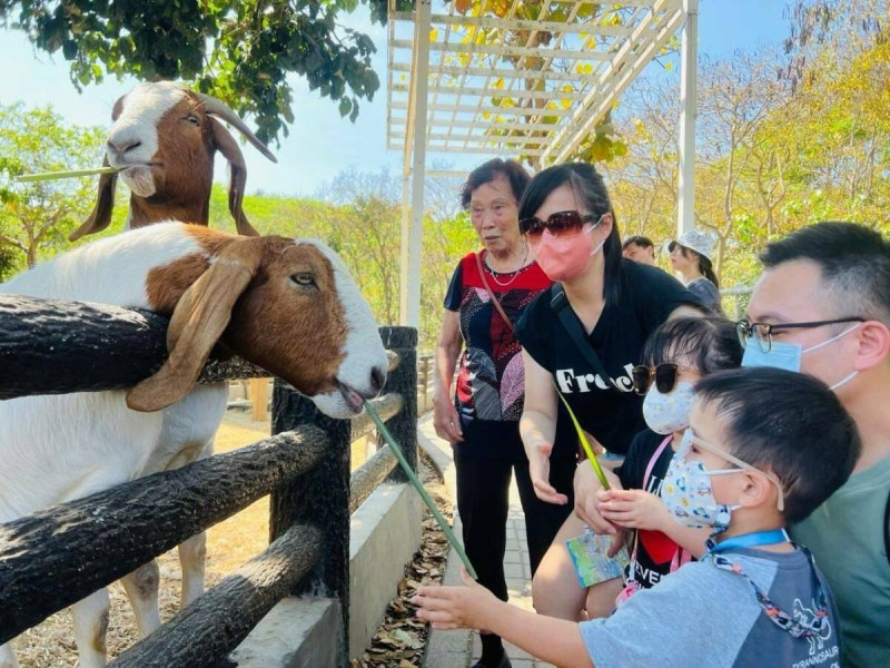 小朋友餵食可愛的動物。   圖：高雄市觀光局/提供