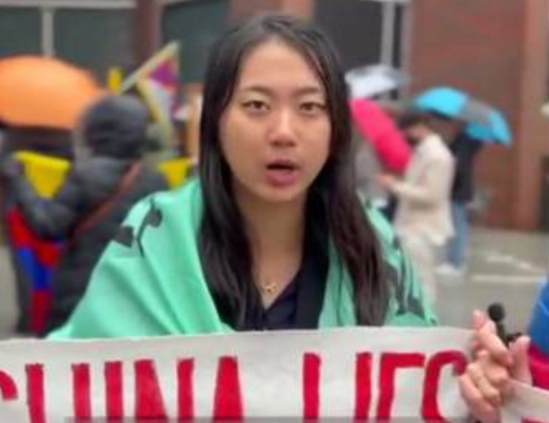 因抗議謝鋒演講，在哈佛遭中國學生鄒宏基拖走的台灣學生吳亭樺。   