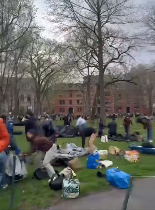 哈佛大學的草坪，已被親巴勒斯坦人士徹底佔據。   圖：翻攝自盤古千尋 X（前推特）帳號