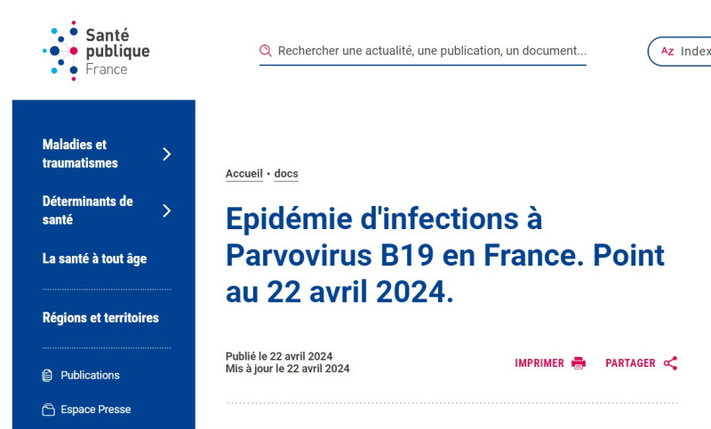 法國公共衛生（SPF）部門22日發出警報，「B19微小病毒」疫情呈上升趨勢。   圖：翻攝SPF網站