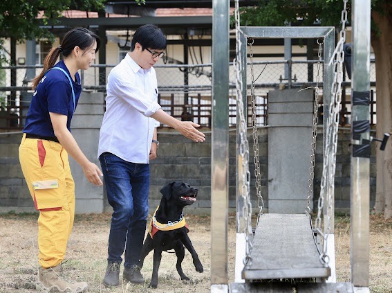 陳其邁體驗指揮搜救犬「擺盪平台」訓練。   圖：高雄市消防局/提供