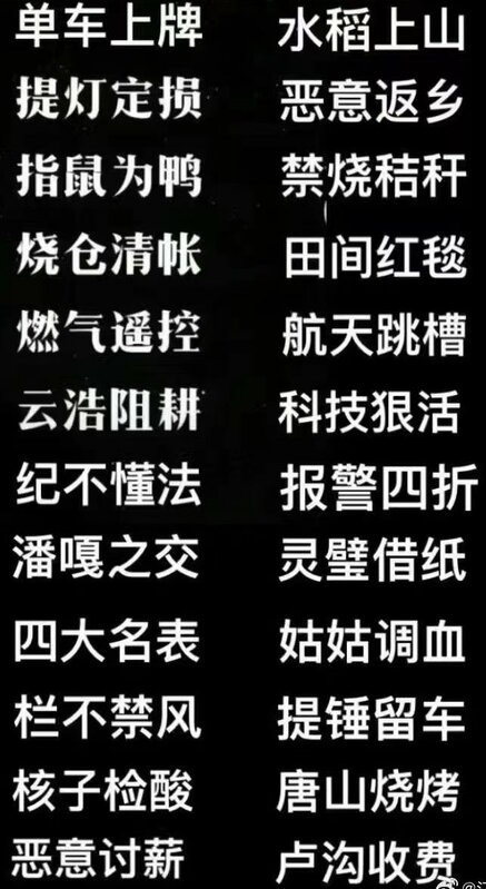 網友憤怒表示，中國新成語又新增了一個「樓房超載」。在此之前已有「科技狠活」、「唐山燒烤」等新成語。   圖 : 翻攝自X帳號@LUOXIANGZY