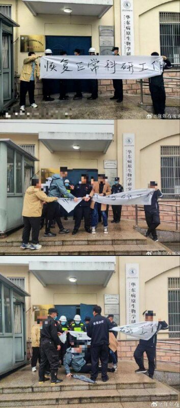 中國病毒學家張永振實驗室遭封，學生拉布條抗議被中國警方撕毀。   圖：翻攝自 Ｘ（前推特）@whyyoutouzhele