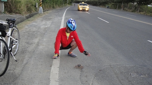一名單車騎士正保護要過馬路的陸蟹。   圖 : 翻攝自雄獅旅遊部落格