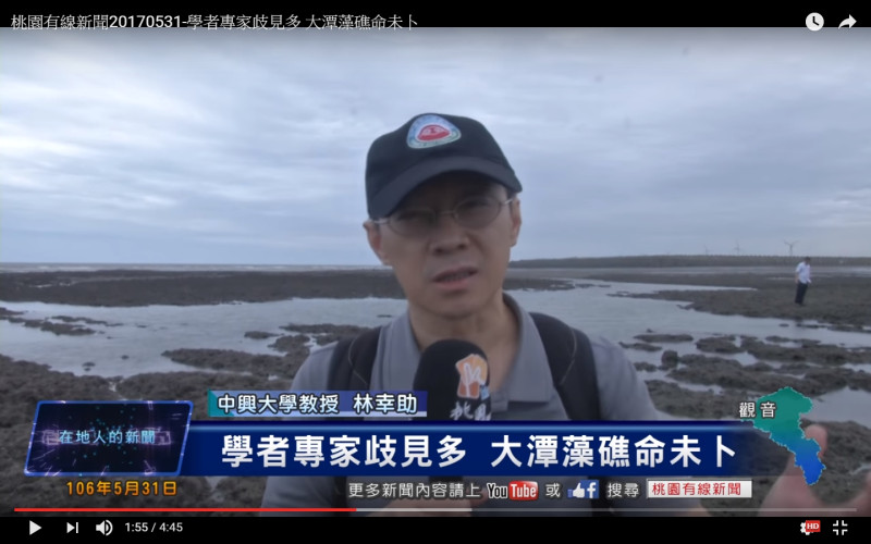 台灣濕地學會林幸助理事長受訪表示大潭藻礁生態不好生物不多。   圖 : 翻攝自桃園有線電視系統台