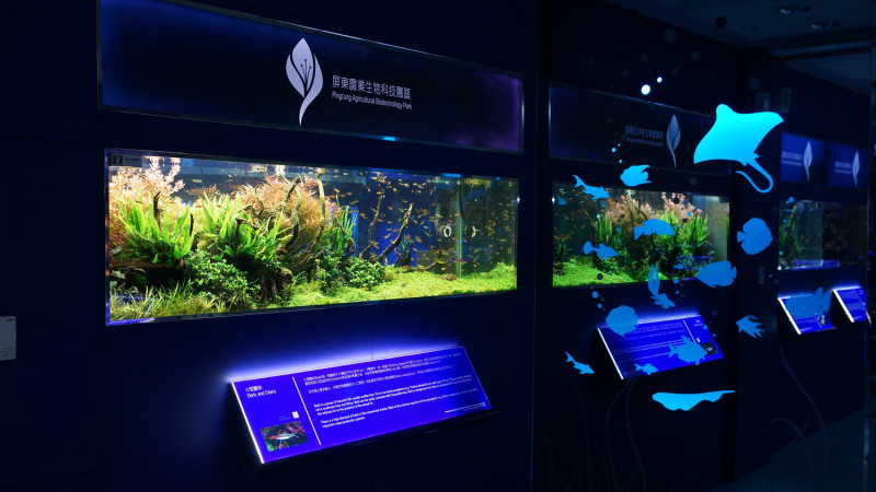 展示廳運用水元素塑造整體氛圍，讓人彷彿置身水底世界   圖：屏東農業生物技術園區提供