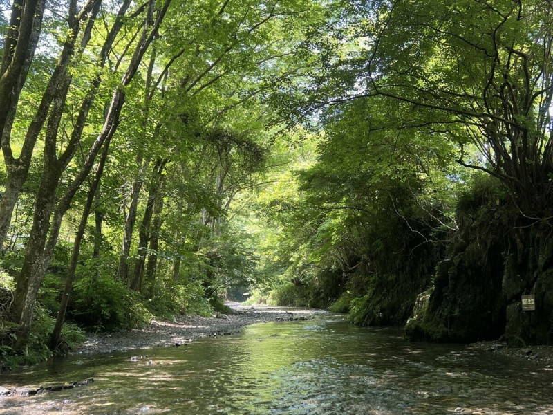 清徹溪流與豐富植物圍繞的「Yuyake Koyake Fureai no Sato」，六月中旬到下旬的夜晚，是賞螢火蟲的最佳時刻。   圖：©TCVB／提供