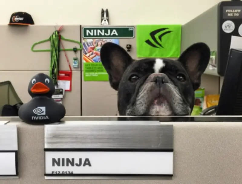 Ninija不但有員工證，還有自己的辦公室，   圖：翻攝自輝達臉書