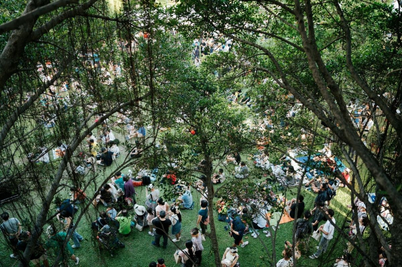 民眾在大義公園草皮上愜意野餐。   圖：高雄市行國處/提供