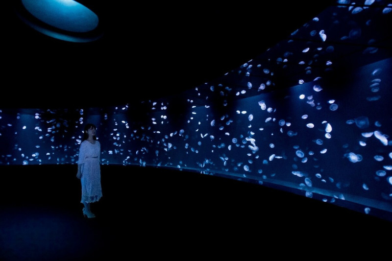 「水母環景」讓人沉浸在被水母包圍的空間，療癒感十足。   圖：陽光水族館／提供