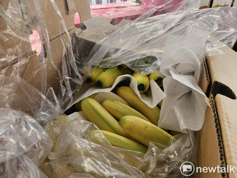 民眾送來香蕉、西瓜、鳳梨等水果到濟南教堂支持青鳥行動。   圖：林昀真/攝