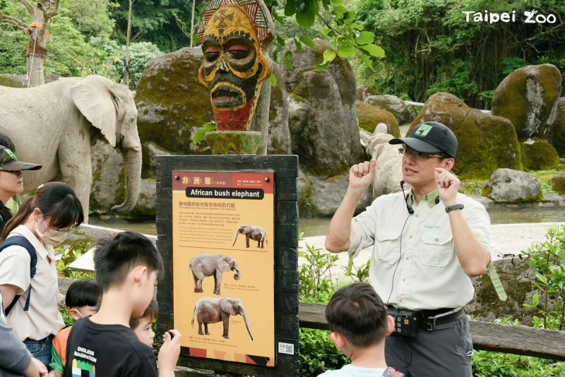 台北市立動物園一年一度的夜訪活動即將登場！北市動物園宣布，自7月6日起連續9個週六夜間延長開放至晚上9點   圖：翻攝自台北市立動物園官網