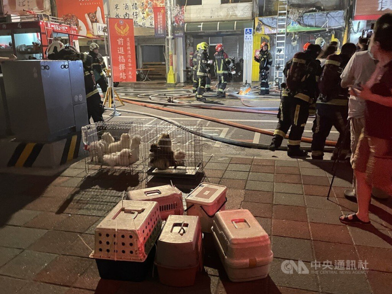 花蓮市中山路一家寵物美容店22日晚間驚傳火警，店員緊急將部分寵物犬救出，消防獲報到場馳援，也從火場中陸續救出受困寵物。   圖：中央社提供