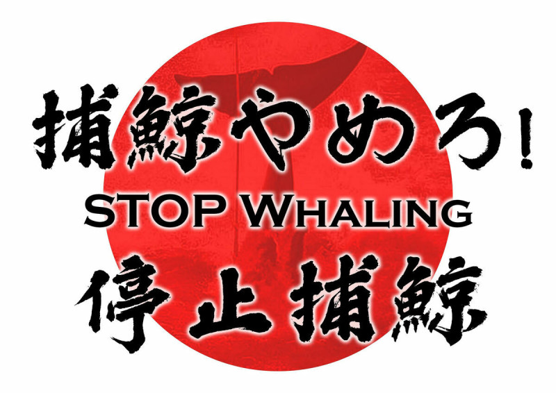 7月1日是日本政府開放商業獵捕長須鯨（fin whale）的首日，台灣民間團體將赴日本台灣交流協會前高舉布條「反對日本政府增獵長須鯨」。   圖：民團提供