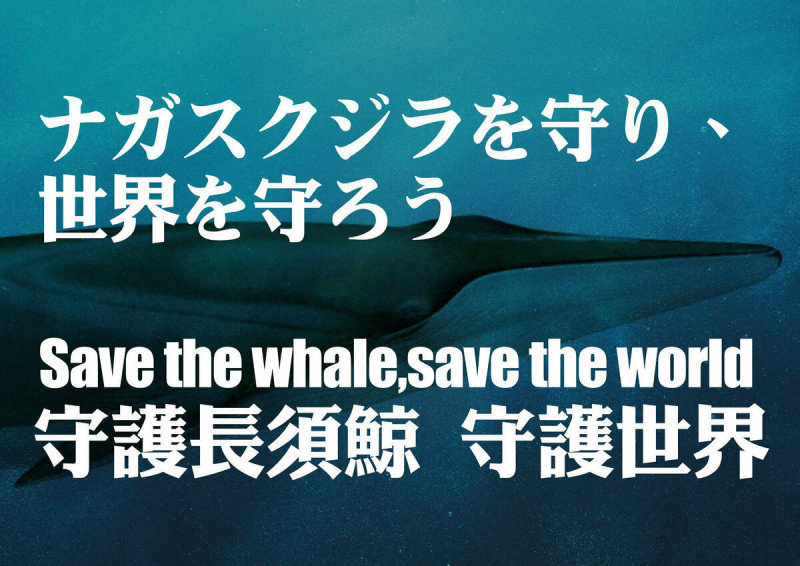 台灣民團訴求日本政府立即撤回商業獵捕長須鯨的決議、盡速終止所有捕鯨的許可，輔導捕鯨業者永續轉型。   圖：民團提供