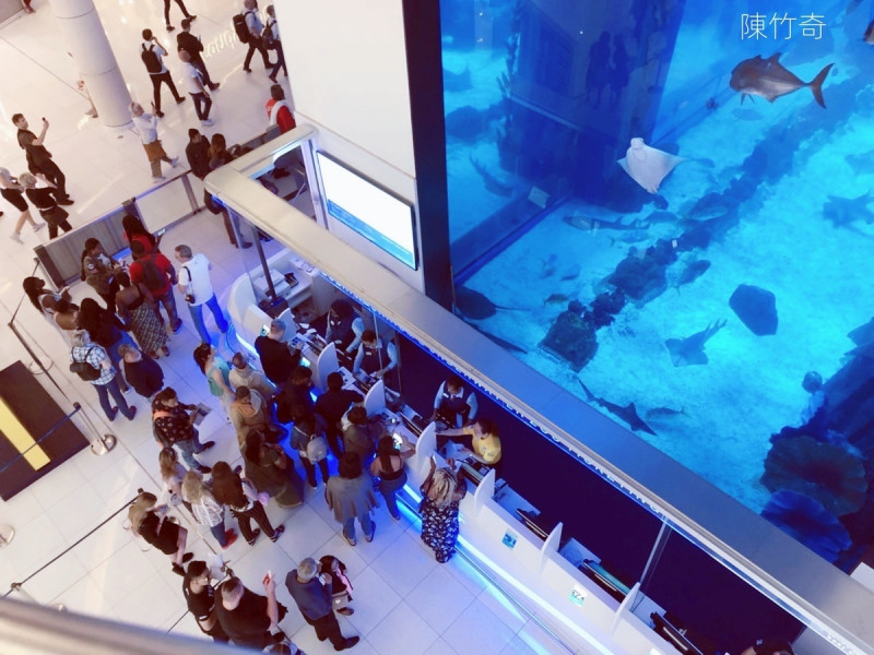 圖說四：杜拜水族館吸引許多人參觀。   圖:陳竹奇攝