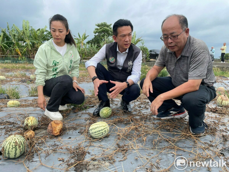 立委林俊憲與台南市議員余柷青前往新化西瓜田了解農損情況，並邀集農糧署南區分署陳立儀分署長、台南區農業改良場羅正宗場長、台南市農業局等相關單位共同會勘。   圖：林俊憲服務處提供