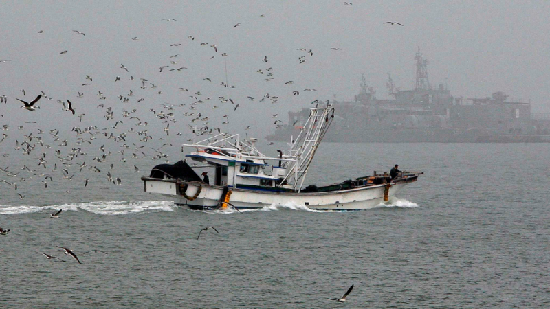 日本抗議北韓武裝船闖入經濟海域非法捕魚，圖為北韓漁船(非同一艘武裝船)   圖:翻攝自網路