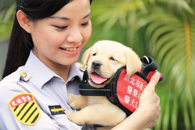 福星與女警的合照，一人一犬都笑得燦爛。   圖：NPA署長室FB