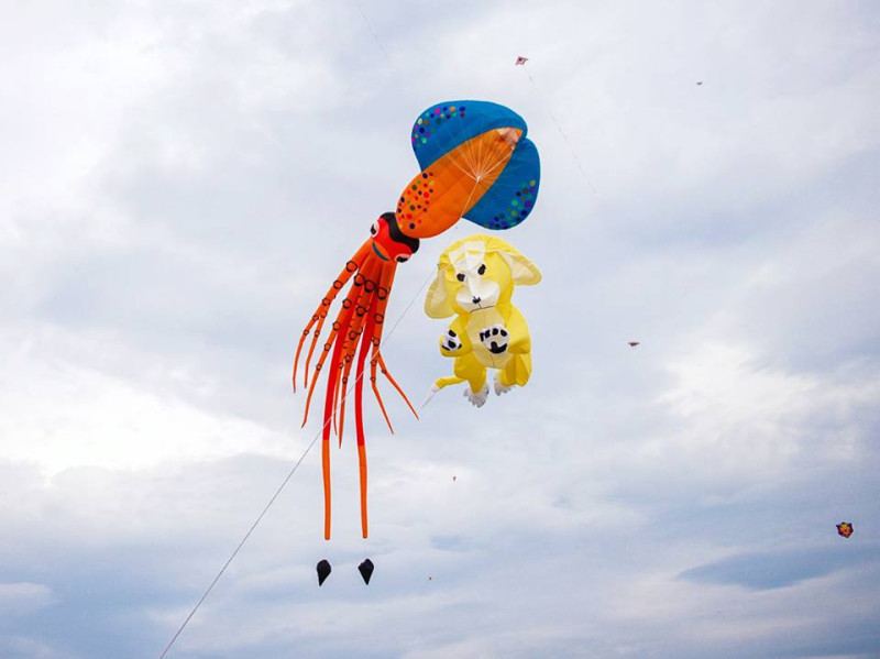 2017旗津黑沙玩藝節本周日(7/16)將在旗津海水浴場舉辦大型風箏表演秀，有各式花樣軟體風箏、造型風箏及特技風箏在天空齊飛。   圖：高雄市觀光局提供