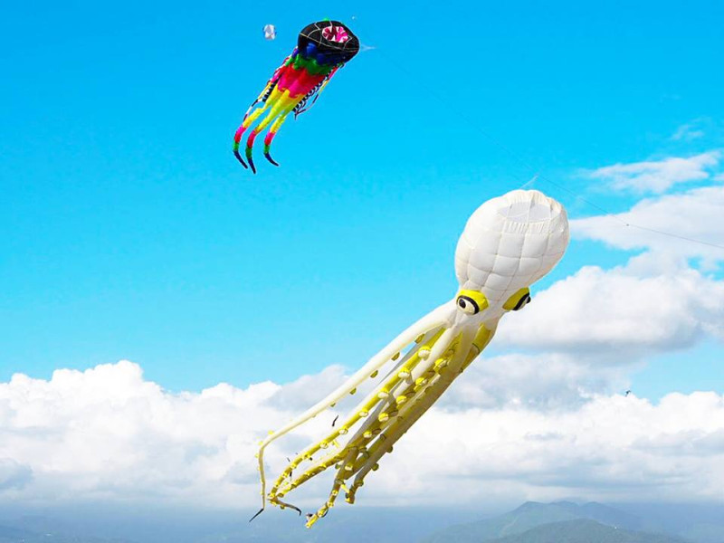 造型風箏及特技風箏在天空齊飛，搭配旗津黑沙海岸及湛藍的天空，無敵美景，保證讓大家的夏天精彩繽紛。   圖：高雄市觀光局提供