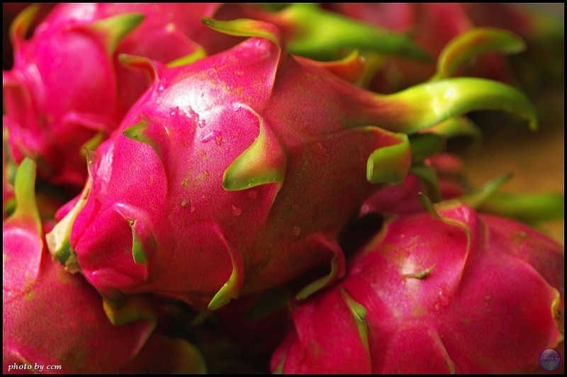 每年6~12月正值火龍果產季，國產火龍果皆於完熟時採收，表皮顏色較鮮豔，甜度高、鮮度佳。   圖：Flickr提供
