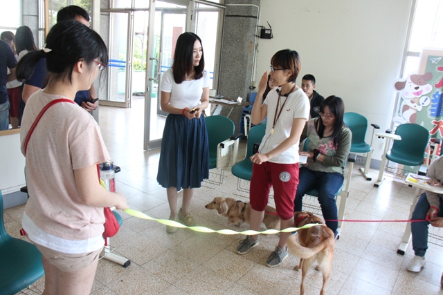 新手飼主們常碰到的飼養問題，犬隻行為飼主訓練課程裡的專業老師可以來幫你。   圖：台中市動物保護防疫處提供