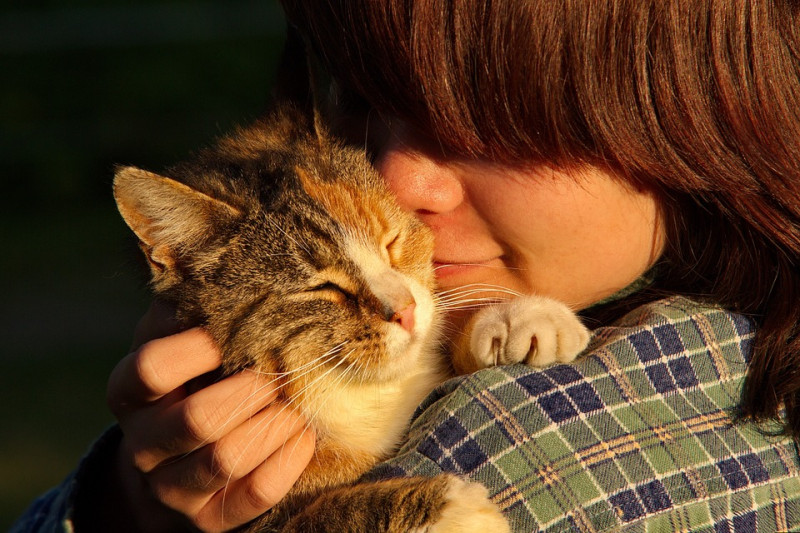 貓咪擁有豐沛的情緒，也高度關注自家的貓奴動靜呢！   圖：寵毛網petsmao資訊平台提供 