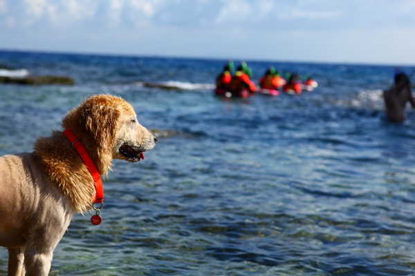 今(19)日依然受到太平洋高壓影響，午後有局部短暫雨的天氣，白天依然炎熱，各地高溫約33到35度，尤其大台北地區可能達36度以上。   圖：Flickr提供