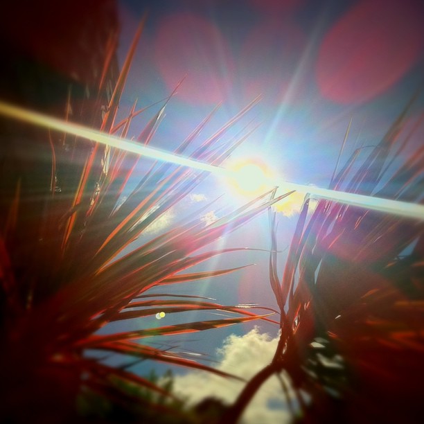 中央氣象局10:15發布即時天氣訊息，中午前台北已達36度高溫，今天很有可能出現37度，請外出民眾小心防曬，   圖：Flickr提供