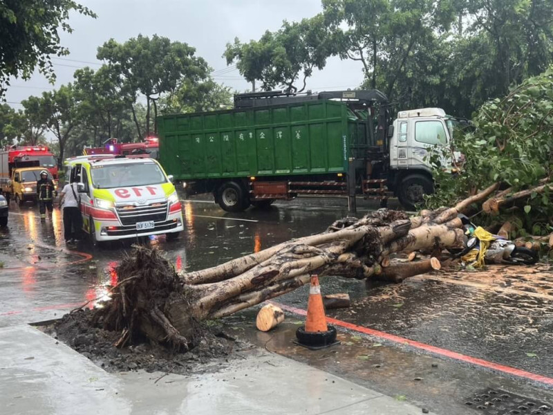 一名婦人24日中午騎車行經高雄鳳山區建國路一段時，遭倒塌路樹壓傷送醫不治。   圖：高市消防局提供