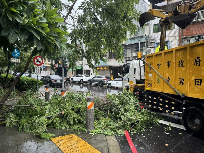 台中市的災情以路樹倒伏最多。   圖：台中市政府/提供