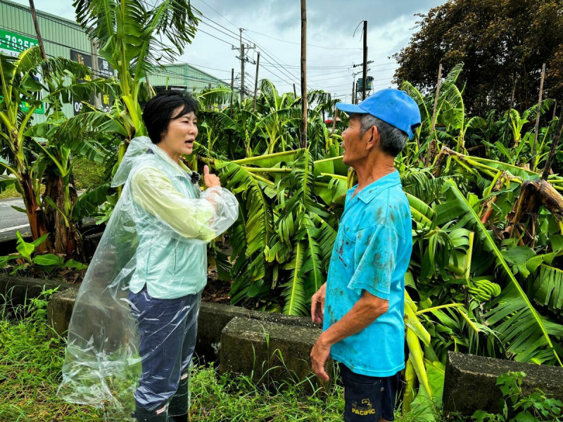 林岱樺(左)關心大寮蕉農災損情況。   圖：林岱樺服務處/提供