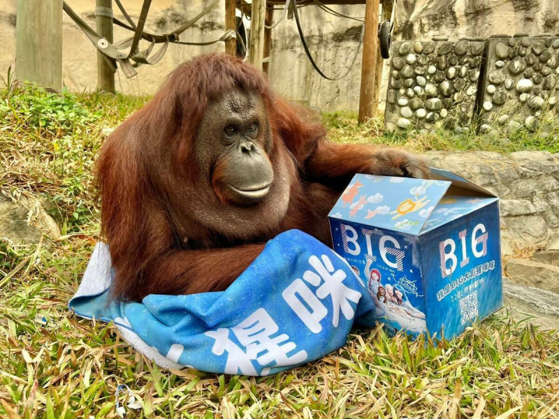 在壽山動物園陪伴大小朋友16年咪咪走了。   圖：高雄市觀光局/提供