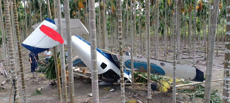 屏東高樹鄉今天下午2時許發生一起輕航機意外，機上教練與乘客在迫降檳榔園後，僅受輕傷自行脫困。   圖 : 民眾/提供