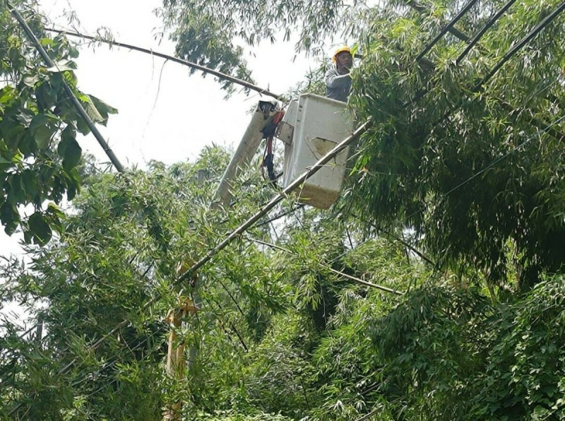 台電工程人員搶修電力。   圖：台電高雄區處提供