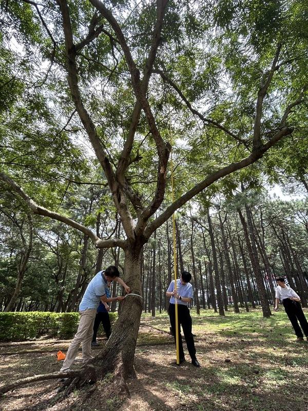 中華電信首創樹木碳匯公民科學家課程，培育同仁實地觀察、量測樹木，逐漸累積樹木碳匯計算之專業。   圖: 中華電信/提供