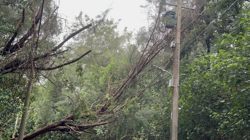 山陀兒颱風強風豪雨造成台電饋線跳脫，引發停電事故。   圖：台電桃園區營業處／提供