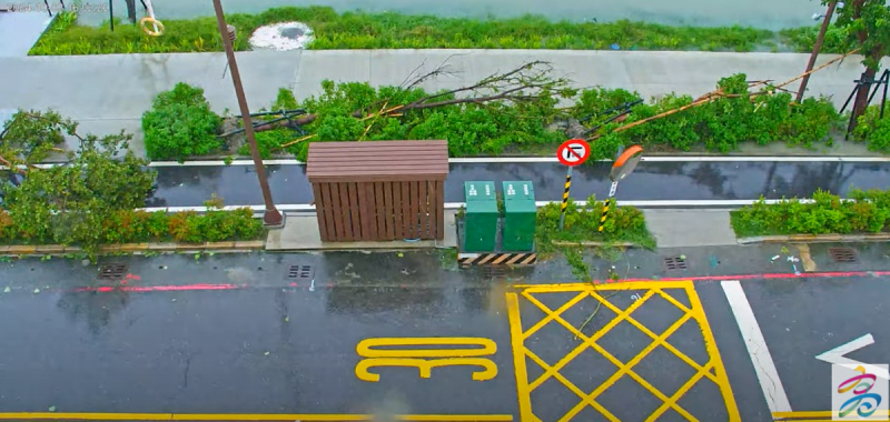 根據高雄旅遊網即時影像，高雄蓮池潭路樹已被吹到倒塌。   圖：翻攝自高雄旅遊網即時影像