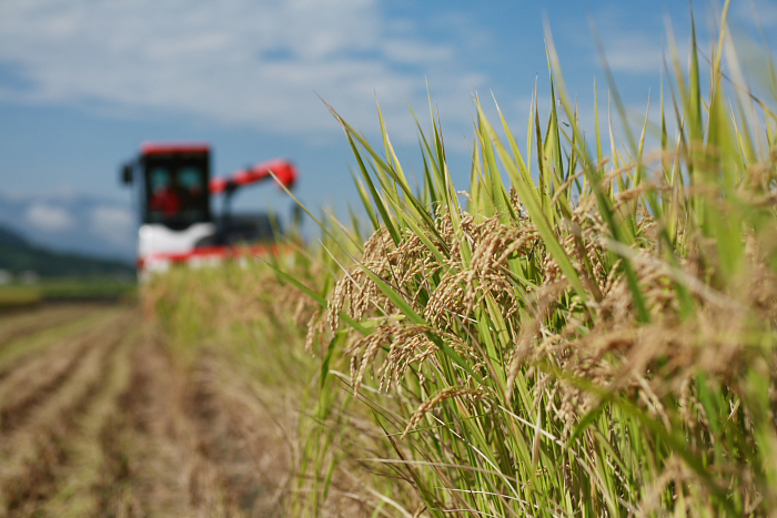 「有機農業促進法草案」，是台灣第一部有機農產業的專法   圖：flickr
