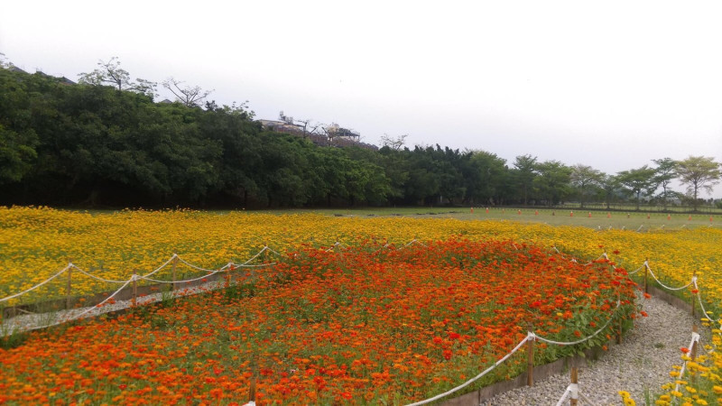 東勢河濱公園漂亮的花圃。   圖 : 台中市政府/提供