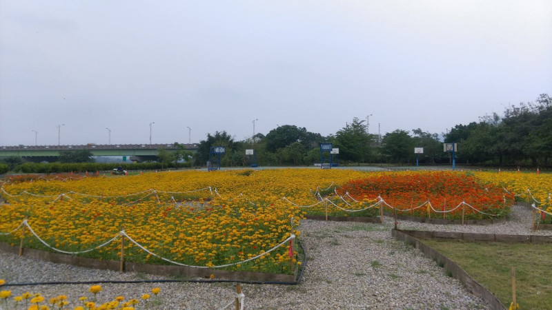 東勢河濱公園漂亮的花圃。   圖 : 台中市政府/提供